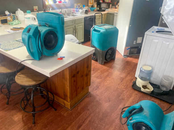 Best Basement water damage restoration  in Bowleys Quarters, MD