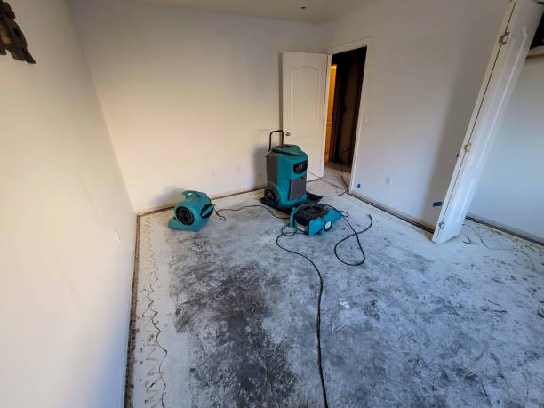 Best 24/7 water damage repair  in Bowleys Quarters, MD