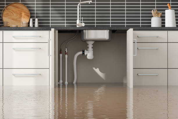 Best Local water damage restoration  in Bowleys Quarters, MD